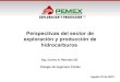 Persp sector explor_prod_hidrocarburos