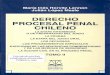 Derecho Procesal Penal Chileno - Tomo II - Horvitz, Lopez