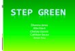 Step green assembly