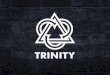 Trinity - Cases