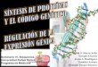 Sintesis de proteinas y el codigo genetico