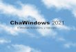 Window Chavista