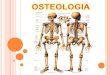 Osteologia 1