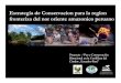 Estrategia de conservación para la región fronteriza del nor oriente amazónico peruano