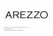 Case Arezzo (Atualizado)
