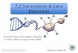 7.2 transcription & gene expression slideshare