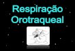 Respiração Orotraqueal