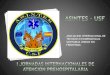 Sanitarios en los equipos de rescate presentacion  I JORNADAS ASINTES. AUTOR F.J.C.C