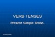 Verb Tenses Present Simple