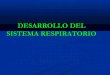 FISIOLOGIA DE Respiratorio 101015231731-phpapp02