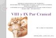 par craneal VIII Y IX