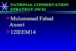 Ncs by Muhammad Fahad Ansari 12IEEM14