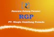 Rgp indonesia