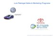Luiz Pedregal Sales & Marketing Programs