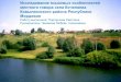 Подгорнова С. Исследование языковых особенностей местного говора села Кочелаево