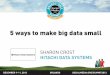 5 ways to make big data small, presented by Sharon Crost