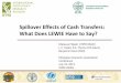 Spillover Effects of Cash Transfers: What Does LEWIE Have to Say?