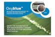 Oxyblue - Advanced wastewater treatment for polishing treatment associating ozonation and biofiltration