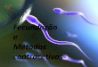 Fecundação e métodos contracetivos