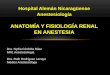 Fisiología renal y anestesia