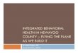 Integrated Behavioral Health In Newaygo County – Flying the Plane as we Build It