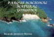 Parque natural gorgona