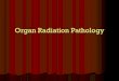 Organ Radiation Pathology - University of Missouri - School of 