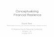 Conceptualizing Financial Resilience