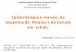 Seminários em Fitopatologia II - Apresentador Jefferson Lucas de Araújo Silva