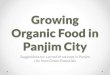 Growing food on the roofs   ideas for panjim city