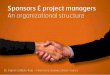 Sponsors and Project Managers - An organizational structure proposal