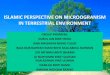 Islamic Perspective on Microogranism in Terrestrial Environment