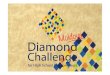 MEGA - Licence to Impact - Diamond Challenge