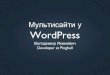 Multisite in WordPress