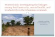 Worried Sick: Investigating the linkages among food insecurity, mental health, and productivity in the Ghanaian savannah - IFPRI Gender Methods Seminar