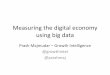Measuring the digital economy using big data (Growth Intelligence)
