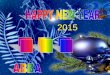 Happy New Year_ 2015 _ Thái Hà