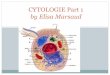 Cytologie  1 - Membrane celluliare