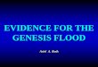 Evidence for the genesis flood