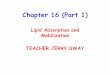Lipid absorption and mobilization