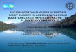 Environmental changes affecting light climate in Andean Patagonian mountain lakes: implications for the plankton community [Beatriz Modenutti]