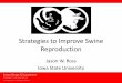 Dr. Jason Ross - Strategies to Improve Swine Reproduction