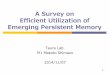 A Survey on Efficient Utilization of Emerging Persistent Memory