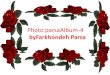 4 Photo Parsa Album