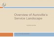 Overview of Auroville's service landscape