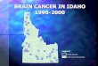 BRAIN CANCER IN IDAHO BRAIN CANCER IN IDAHO 1996 1996 