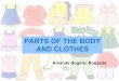 Parts of the body and clothes