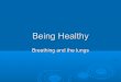 Being healthy | Breathing and the lungs
