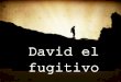 David el fugitivo