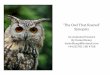 Synopsis - The Owl That Roared